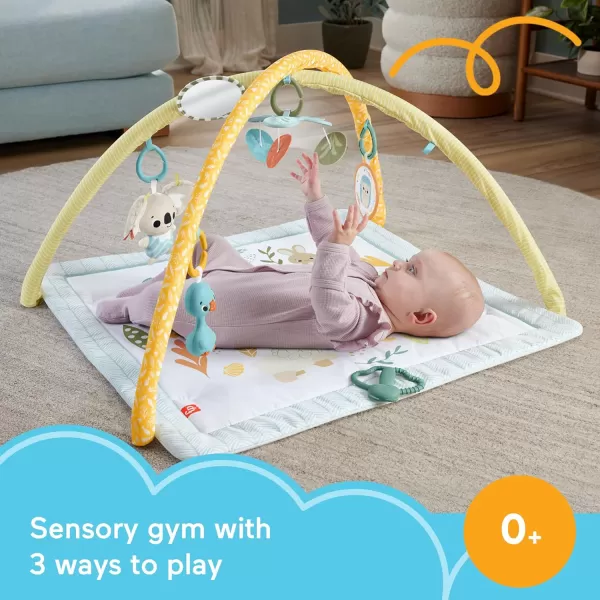 FisherPrice Baby Activity Mat Simply Senses Newborn Gym with 6 Portable Sensory Toys for NewbornsFisherPrice Baby Activity Mat Simply Senses Newborn Gym with 6 Portable Sensory Toys for Newborns