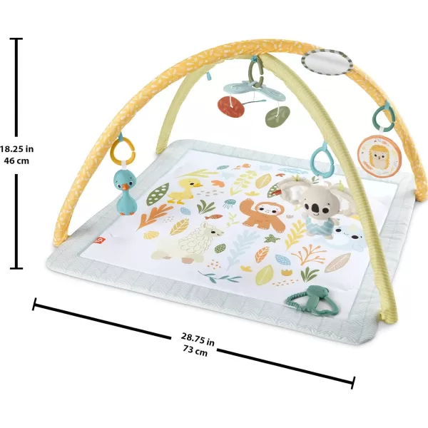 FisherPrice Baby Activity Mat Simply Senses Newborn Gym with 6 Portable Sensory Toys for NewbornsFisherPrice Baby Activity Mat Simply Senses Newborn Gym with 6 Portable Sensory Toys for Newborns