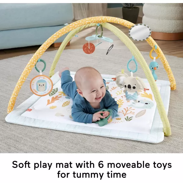 FisherPrice Baby Activity Mat Simply Senses Newborn Gym with 6 Portable Sensory Toys for NewbornsFisherPrice Baby Activity Mat Simply Senses Newborn Gym with 6 Portable Sensory Toys for Newborns