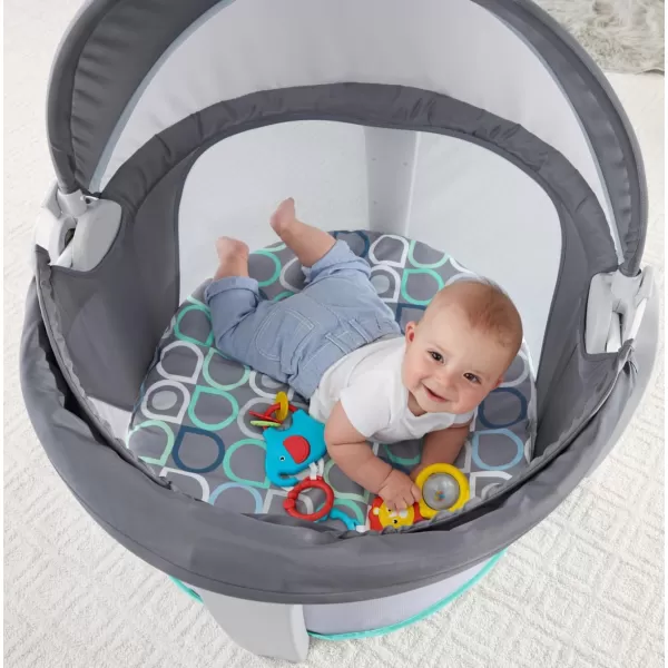 FisherPrice Baby Portable Bassinet and Play Space OntheGo Baby Dome with 2 Toys and Canopy Puppy Perfection Amazon ExclusiveBubbles