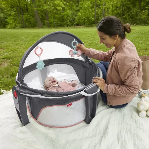 FisherPrice Baby Portable Bassinet and Play Space OntheGo Baby Dome with 2 Toys and Canopy Puppy Perfection Amazon ExclusivePacific Pebble