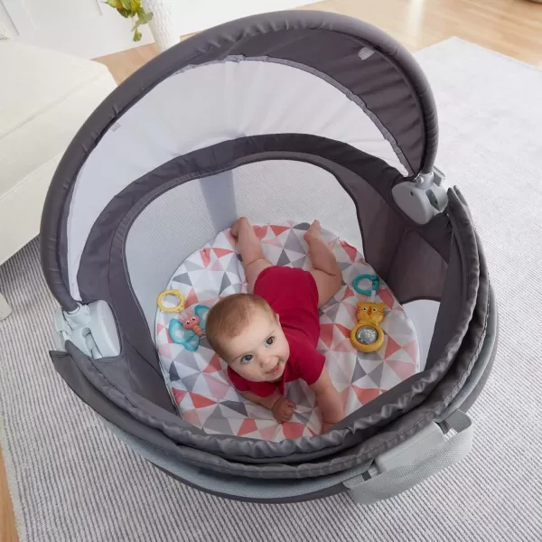 FisherPrice Baby Portable Bassinet and Play Space OntheGo Baby Dome with 2 Toys and Canopy Puppy Perfection Amazon ExclusiveRosy Windmill