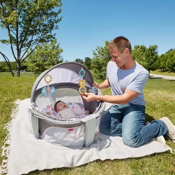 FisherPrice Baby Portable Bassinet and Play Space OntheGo Baby Dome with 2 Toys and Canopy Puppy Perfection Amazon ExclusiveRosy Windmill