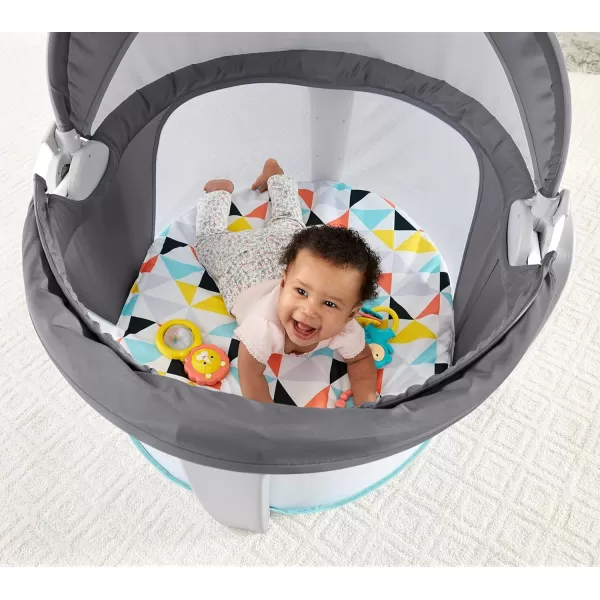 FisherPrice Baby Portable Bassinet and Play Space OntheGo Baby Dome with 2 Toys and Canopy Puppy Perfection Amazon ExclusiveWindmill