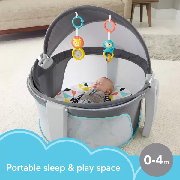 FisherPrice Baby Portable Bassinet and Play Space OntheGo Baby Dome with 2 Toys and Canopy Puppy Perfection Amazon ExclusiveWindmill