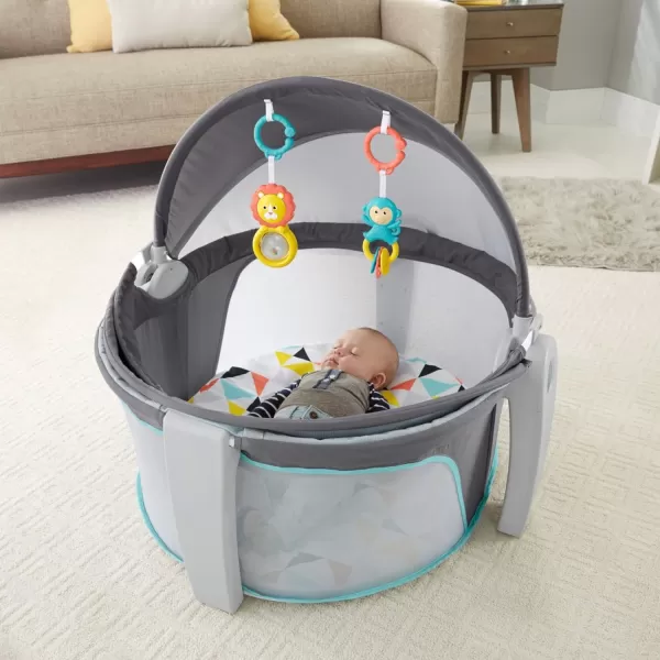 FisherPrice Baby Portable Bassinet and Play Space OntheGo Baby Dome with 2 Toys and Canopy Puppy Perfection Amazon ExclusiveWindmill