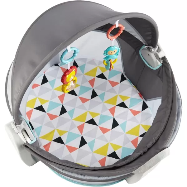 FisherPrice Baby Portable Bassinet and Play Space OntheGo Baby Dome with 2 Toys and Canopy Puppy Perfection Amazon ExclusiveWindmill