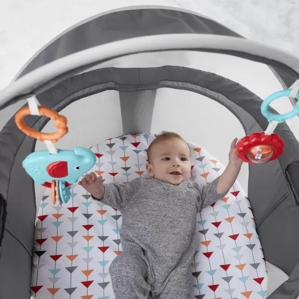 FisherPrice Baby Portable Bassinet and Play Space OntheGo Baby Dome with Developmental Toys and Canopy Arrows Away Amazon ExclusiveArrows