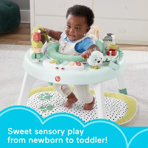 FisherPrice Baby To Toddler Toy 3In1 SitToStand Activity Center With Music Lights And Spiral Ramp Jazzy JunglePuppy