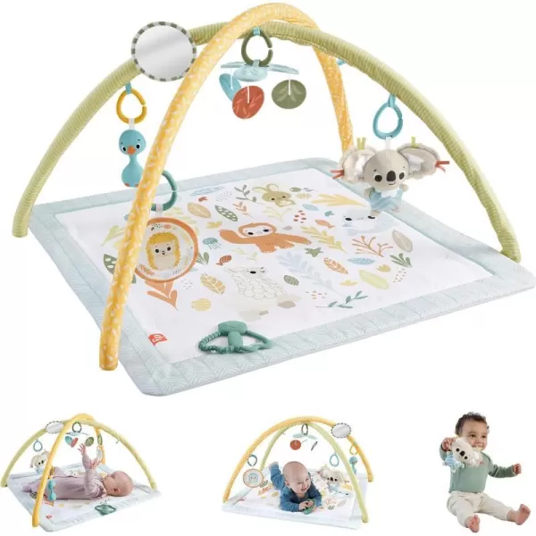 FisherPrice Baby Activity Mat Simply Senses Newborn Gym with 6 Portable Sensory Toys for NewbornsFisherPrice Baby Activity Mat Simply Senses Newborn Gym with 6 Portable Sensory Toys for Newborns