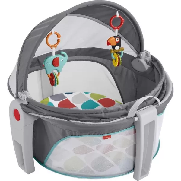 FisherPrice Baby Portable Bassinet and Play Space OntheGo Baby Dome with 2 Toys and Canopy Puppy Perfection Amazon ExclusiveColor Climbers