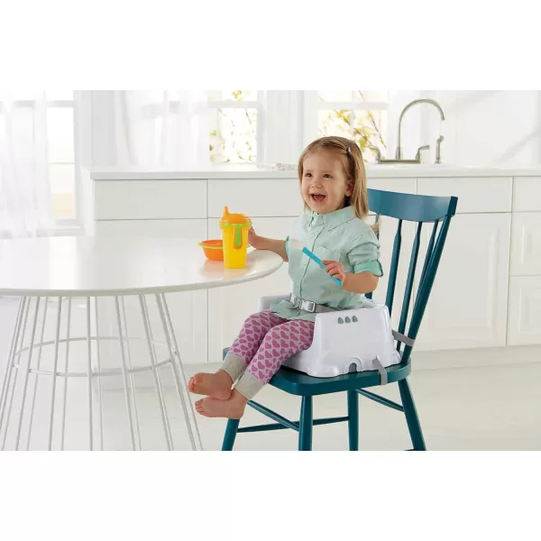 FisherPrice Baby Portable Baby amp Toddler Dining Chair Healthy Care Deluxe Booster Seat Travel Gear with Dishwasher Safe Tray BlueFisherPrice Baby Portable Baby amp Toddler Dining Chair Healthy Care Deluxe Booster Seat Travel Gear with Dishwasher Safe Tray Blue