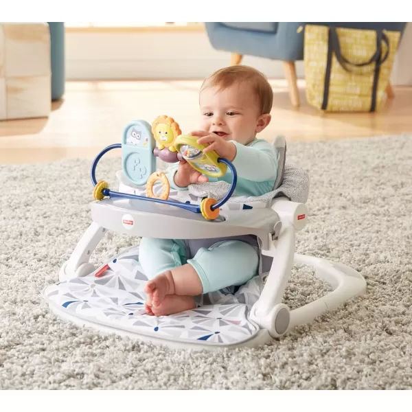 FisherPrice Baby Premium SitMeUp Floor Seat with Toy Tray  Owl Love You portable baby chair with snack tray and toysOwl