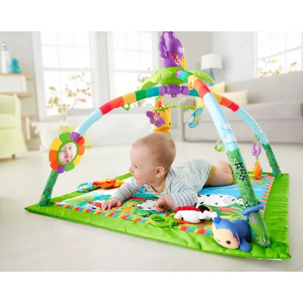 FisherPrice Baby Rainforest Music amp Lights Deluxe Infant GymStandard Packaging