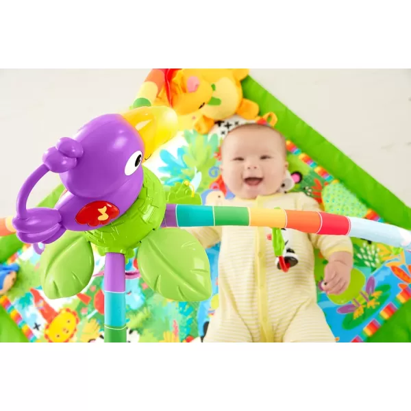 FisherPrice Baby Rainforest Music amp Lights Deluxe Infant GymStandard Packaging