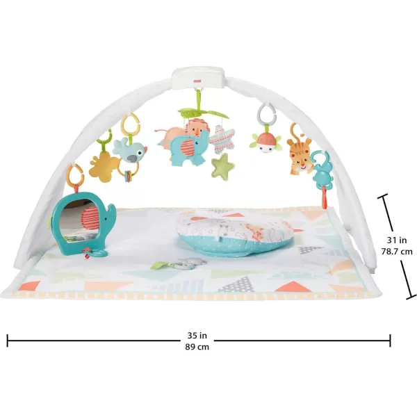 FisherPrice Baby Safari Music amp Lights Gym Tummy Time Playmat With TakeAlong Toys For Newborns From Birth And OlderFisherPrice Baby Safari Music amp Lights Gym Tummy Time Playmat With TakeAlong Toys For Newborns From Birth And Older