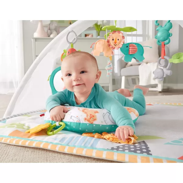 FisherPrice Baby Safari Music amp Lights Gym Tummy Time Playmat With TakeAlong Toys For Newborns From Birth And OlderFisherPrice Baby Safari Music amp Lights Gym Tummy Time Playmat With TakeAlong Toys For Newborns From Birth And Older