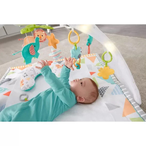 FisherPrice Baby Safari Music amp Lights Gym Tummy Time Playmat With TakeAlong Toys For Newborns From Birth And OlderFisherPrice Baby Safari Music amp Lights Gym Tummy Time Playmat With TakeAlong Toys For Newborns From Birth And Older