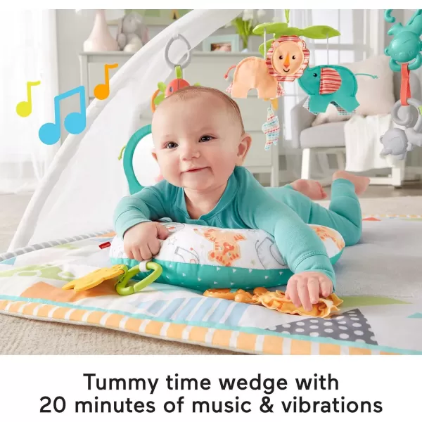 FisherPrice Baby Safari Music amp Lights Gym Tummy Time Playmat With TakeAlong Toys For Newborns From Birth And OlderFisherPrice Baby Safari Music amp Lights Gym Tummy Time Playmat With TakeAlong Toys For Newborns From Birth And Older