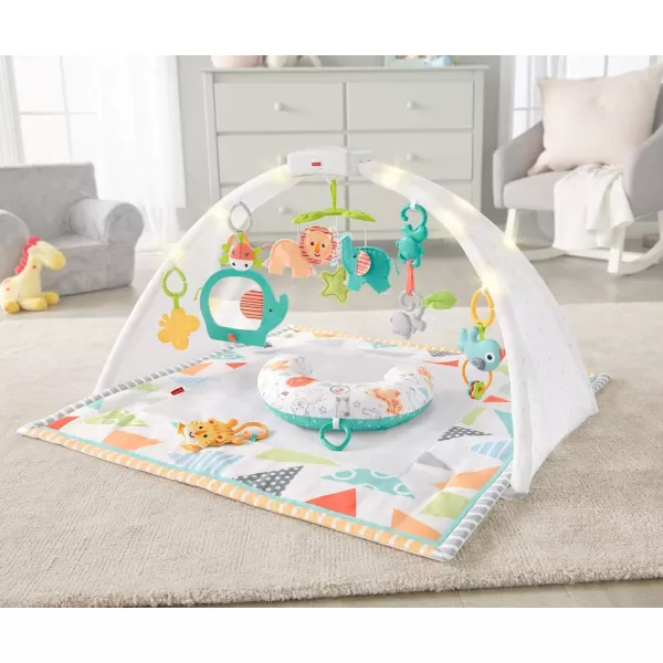 FisherPrice Baby Safari Music amp Lights Gym Tummy Time Playmat With TakeAlong Toys For Newborns From Birth And OlderFisherPrice Baby Safari Music amp Lights Gym Tummy Time Playmat With TakeAlong Toys For Newborns From Birth And Older