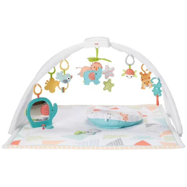 FisherPrice Baby Safari Music amp Lights Gym Tummy Time Playmat With TakeAlong Toys For Newborns From Birth And OlderFisherPrice Baby Safari Music amp Lights Gym Tummy Time Playmat With TakeAlong Toys For Newborns From Birth And Older