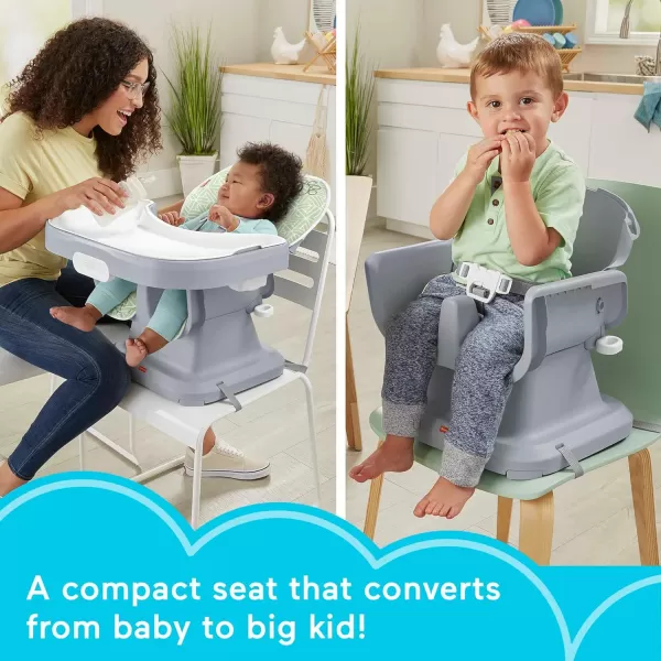 FisherPrice Baby SpaceSaver Simple Clean High Chair Baby to Toddler Portable Dining Seat with Removable Tray Liner Windmill Amazon ExclusivePuppy