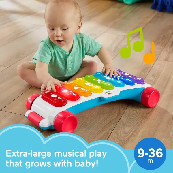 FisherPrice Baby To Toddler Learning Toy Giant LightUp Xylophone PullAlong With Music amp Phrases For Ages 9 MonthsRetail Packaging