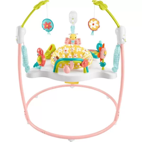 FisherPrice Baby Bouncer Color Climbers Jumperoo Activity Center with Music Lights amp Developmental Toys Amazon ExclusiveBlooming Fun Jumperoo