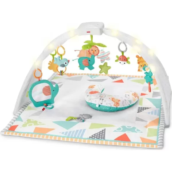 FisherPrice Baby Safari Music amp Lights Gym Tummy Time Playmat With TakeAlong Toys For Newborns From Birth And OlderFisherPrice Baby Safari Music amp Lights Gym Tummy Time Playmat With TakeAlong Toys For Newborns From Birth And Older