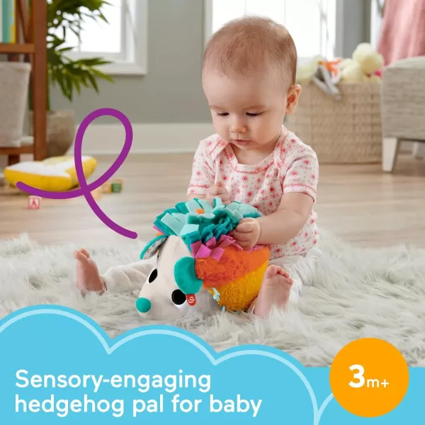 FisherPrice Baby Newborn Plush Toy Cuddle n Snuggle Hedgehog with Sounds amp Sensory Details for Babies 3 MonthsFisherPrice Baby Newborn Plush Toy Cuddle n Snuggle Hedgehog with Sounds amp Sensory Details for Babies 3 Months