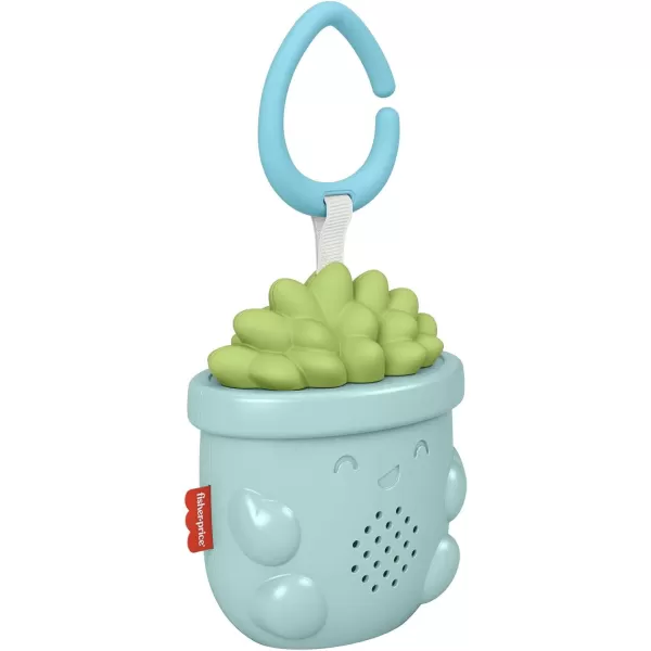 FisherPrice Baby Portable Baby Sound Machine Soothe amp Go Succulent with Customizable Music amp Timers for NewbornsSucculent Soother