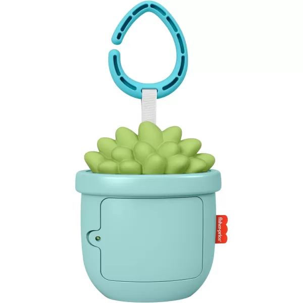 FisherPrice Baby Portable Baby Sound Machine Soothe amp Go Succulent with Customizable Music amp Timers for NewbornsSucculent Soother