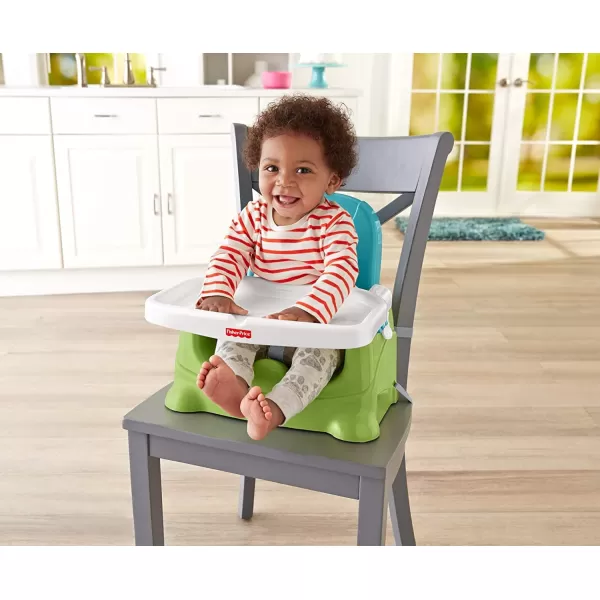 FisherPrice Baby Portable Toddler Dining Chair Healthy Care Deluxe Booster Seat Travel Gear with Dishwasher Safe Tray Blue Amazon ExclusiveCarbon FrustrationFree Packaging