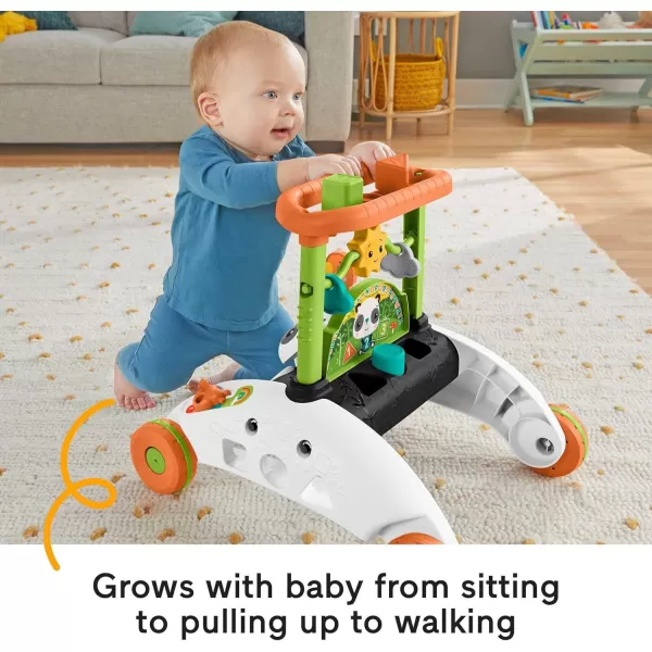 FisherPrice Baby amp Toddler Toy 2Sided Steady Speed Panda Walker With Smart Stages Learning amp Blocks For Ages 6 MonthsPanda Walker