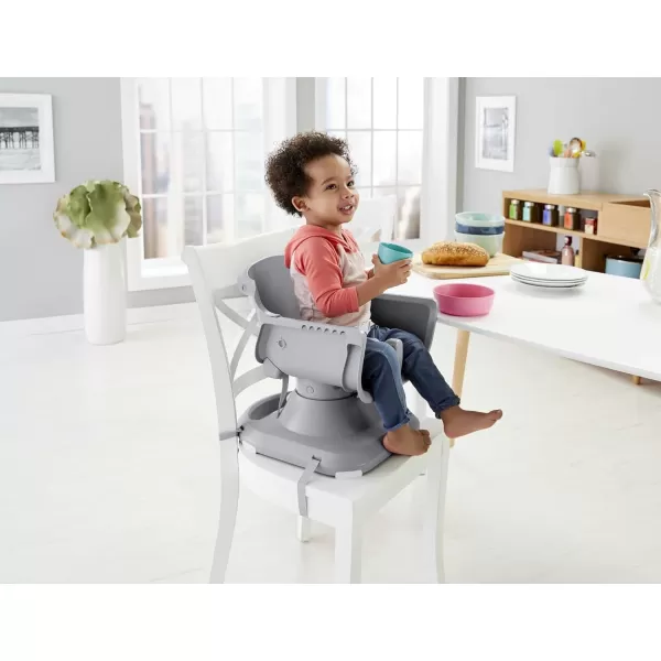 FisherPrice SpaceSaver High Chair  Slanted Sails Amazon ExclusiveFisherPrice SpaceSaver High Chair  Slanted Sails Amazon Exclusive