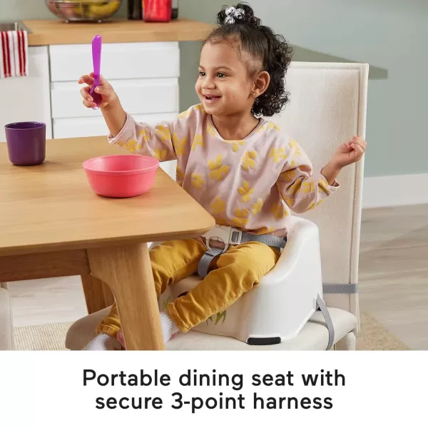 FisherPrice Baby Portable Toddler Dining Chair Simple Clean amp Comfort Booster with Contoured Seat and Harness RaccoonPanda