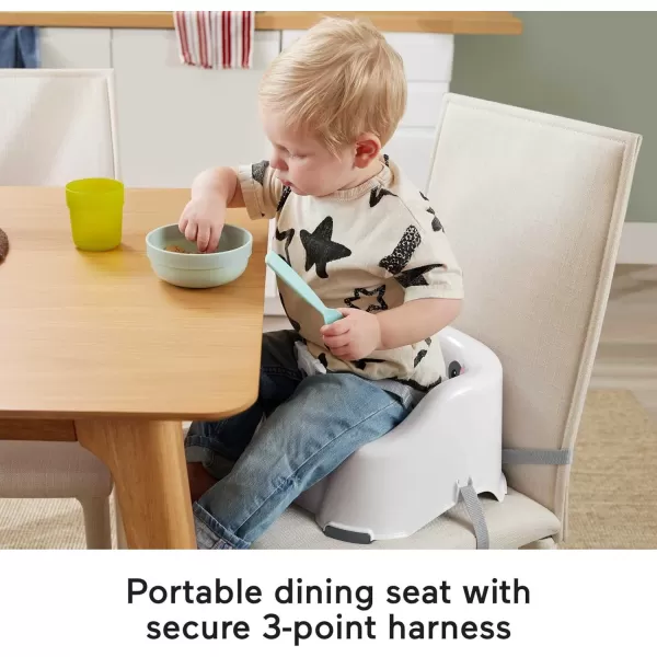 FisherPrice Baby Portable Toddler Dining Chair Simple Clean amp Comfort Booster with Contoured Seat and Harness RaccoonRaccoon