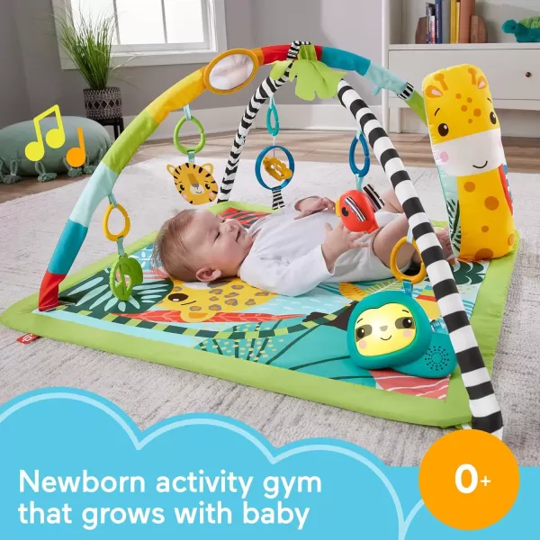 FisherPrice Baby Gift Set 3In1 Music Glow And Grow Gym amp Hedgehog Plush Playmat With 5 Linkable Toys For Newborn Sensory Play3in1 Light amp Sounds Gym