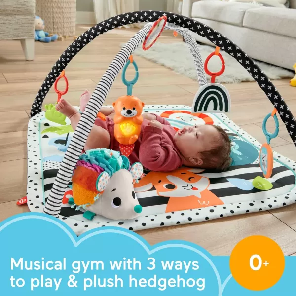 FisherPrice Baby Gift Set 3In1 Music Glow And Grow Gym amp Hedgehog Plush Playmat With 5 Linkable Toys For Newborn Sensory PlayGlow amp Grow  Hedgehog Gym