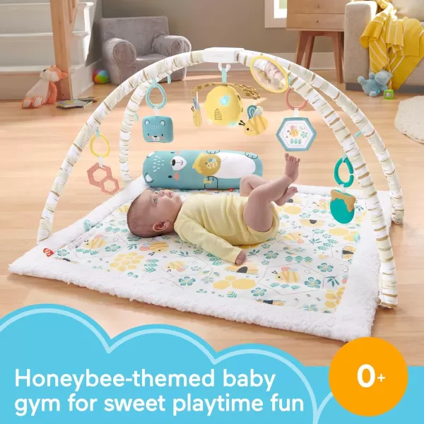 FisherPrice Baby Gift Set 3In1 Music Glow And Grow Gym amp Hedgehog Plush Playmat With 5 Linkable Toys For Newborn Sensory PlayHoney Bee Activity Gym