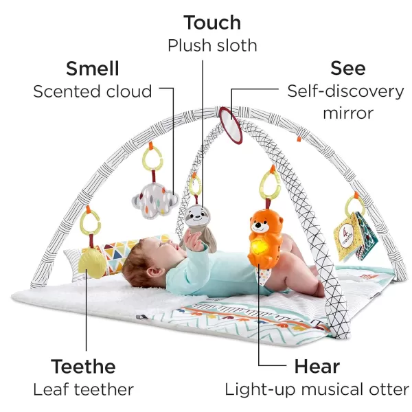 FisherPrice Baby Gift Set 3In1 Music Glow And Grow Gym amp Hedgehog Plush Playmat With 5 Linkable Toys For Newborn Sensory PlayPerfect Sense Activity Gym