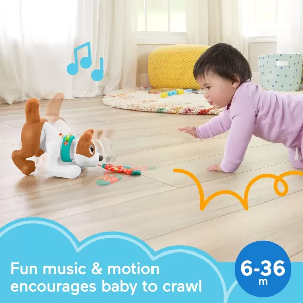 FisherPrice Baby Learning Toy 123 Crawl With Me Puppy Electronic Dog With Smart Stages Content amp Lights For Ages 6 MonthsFisherPrice Baby Learning Toy 123 Crawl With Me Puppy Electronic Dog With Smart Stages Content amp Lights For Ages 6 Months