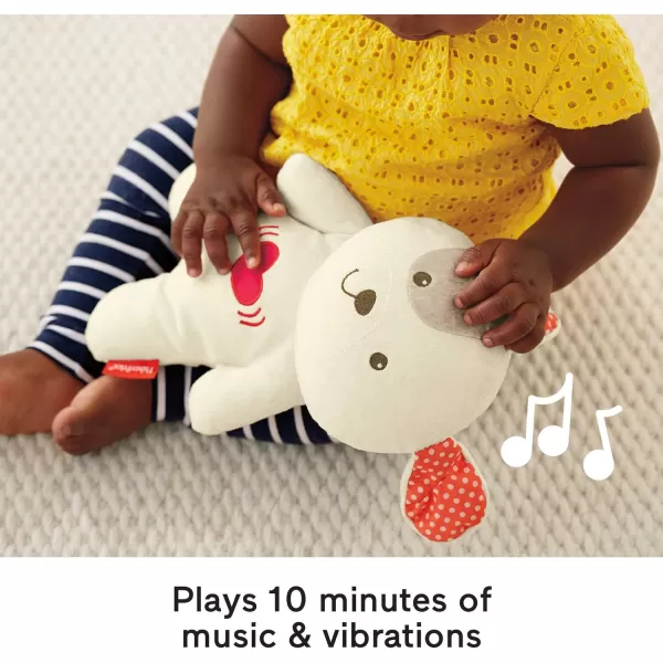 FisherPrice Baby Sound Machine Soothe n Snuggle Koala Plush Baby Toy with Rhythmic Motion and Customizable Lights Music amp TimersDog