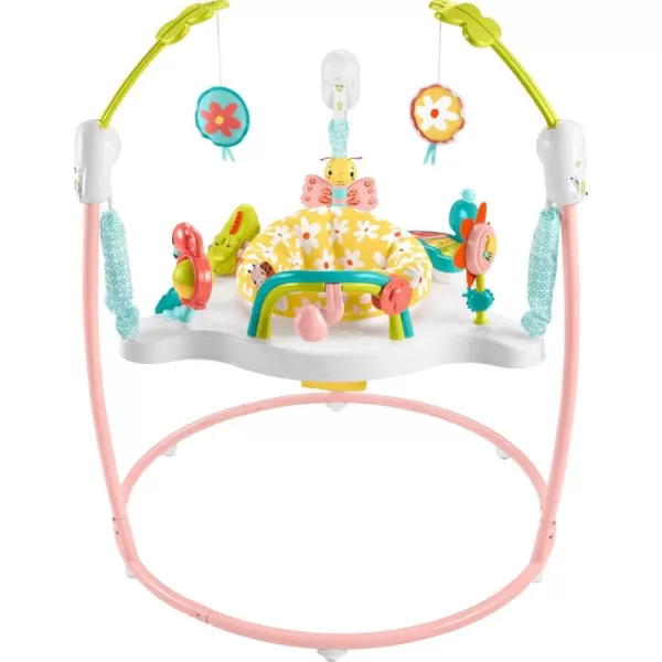 imageFisherPrice Baby Bouncer Activity Center Blooming Fun Jumperoo with Music Lights and Developmental Toys for InfantsBlooming Fun Jumperoo