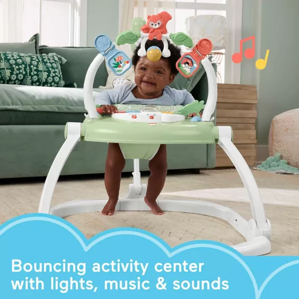 imageFisherPrice Baby Bouncer SpaceSaver Jumperoo Musical Activity Center with Lights Sounds ampamp Developmental Toys Astro KittyPuppy