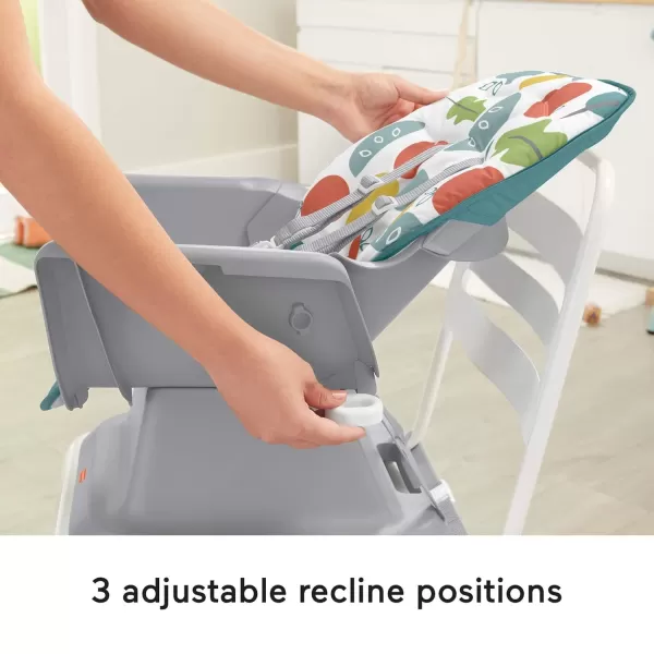 imageFisherPrice Baby to Toddler High Chair SpaceSaver Simple Clean Portable Dining Seat ampamp Booster with Washable Deep Tray ampamp Liner PearfectionPacific Pebble