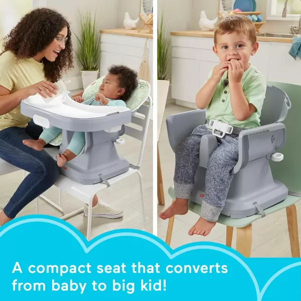 imageFisherPrice Baby to Toddler High Chair SpaceSaver Simple Clean Portable Dining Seat ampamp Booster with Washable Deep Tray ampamp Liner PearfectionPuppy