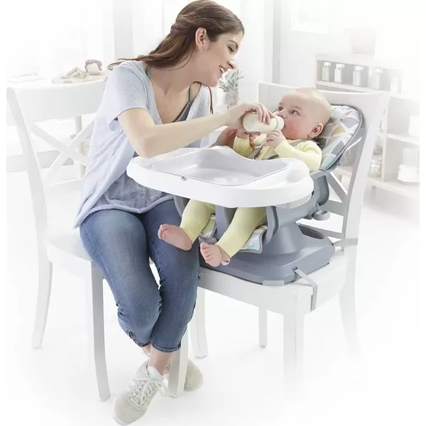 imageFisherPrice SpaceSaver High Chair