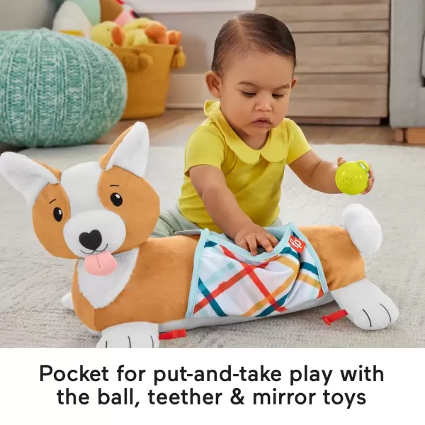 imageFisherPrice Baby Toy 3in1 Puppy Tummy Time Wedge Support with Mirror Teether ampamp Rattle for Developmental Play Newborns Ages 0 Months