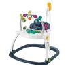 imageFisherPrice Baby Bouncer SpaceSaver Jumperoo Activity Center with Lights Sounds and Folding Frame Sweet SnugapuppyAstro Kitty